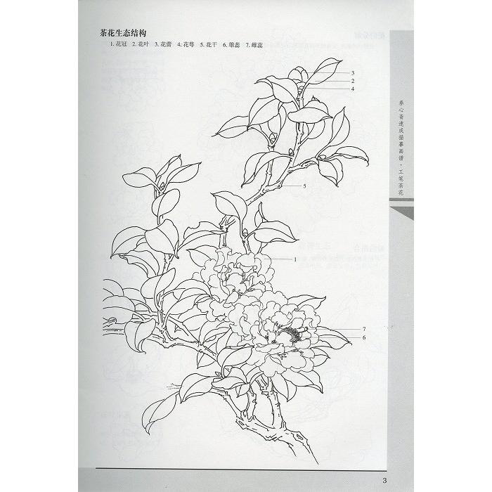 藝苑　彫塑　工芸　版画　日本画　書道　文芸　水墨画　写真　本　美術　画家　作品集 藝苑 彫塑 工芸 版画 日本画 書道 文芸 水墨画 写真 本 美術 画家 作品集