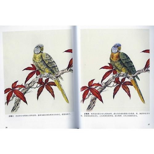 水墨画 / 水墨画集 中国画集 墨彩画 絵手紙 日本画 / [工筆画初学技法
