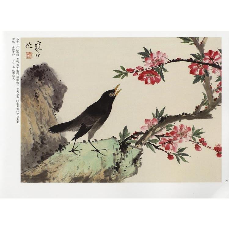 水墨画 / 水墨画集 中国画集 墨彩画 絵手紙 日本画 [鳥の描き方 水墨画 / 水墨画集 中国画集 墨彩画 絵手紙 日本画 [鳥の描き方