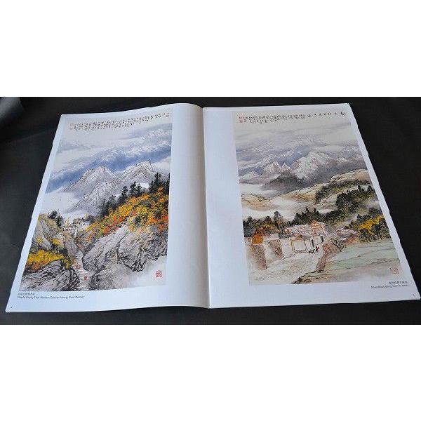 水墨画 / 水墨画集 中国画集 墨彩画 絵手紙 日本画 [山水作品精選