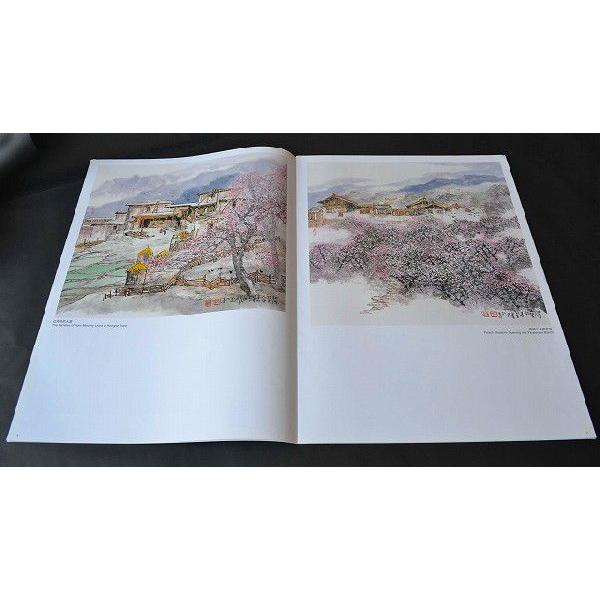 水墨画 / 水墨画集 中国画集 墨彩画 絵手紙 日本画 [山水作品精選