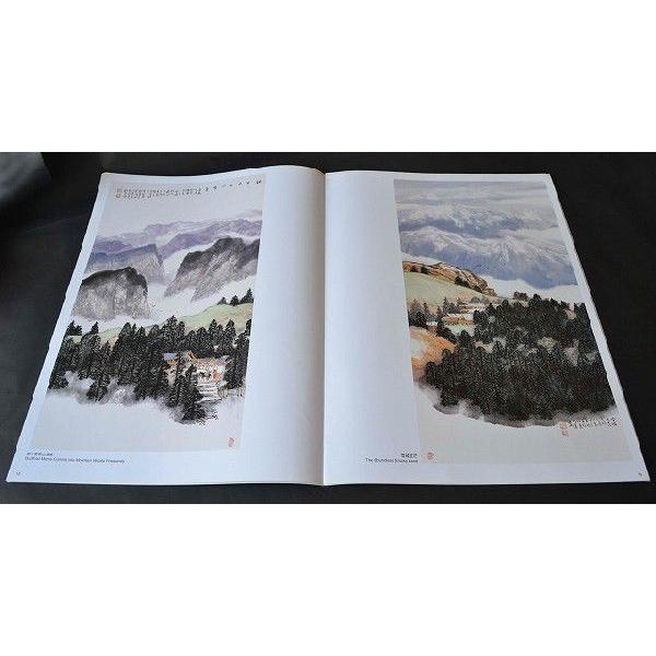水墨画 / 水墨画集 中国画集 墨彩画 絵手紙 日本画 [山水作品精選