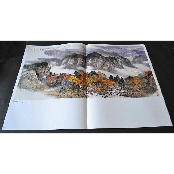 水墨画 / 水墨画集 中国画集 墨彩画 絵手紙 日本画 [山水作品精選