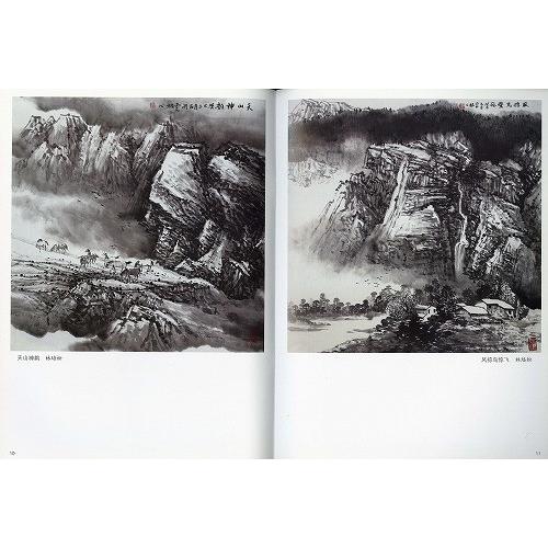 水墨画 / 水墨画集 中国画集 墨彩画 絵手紙 日本画 / 石涛画集 [中国画