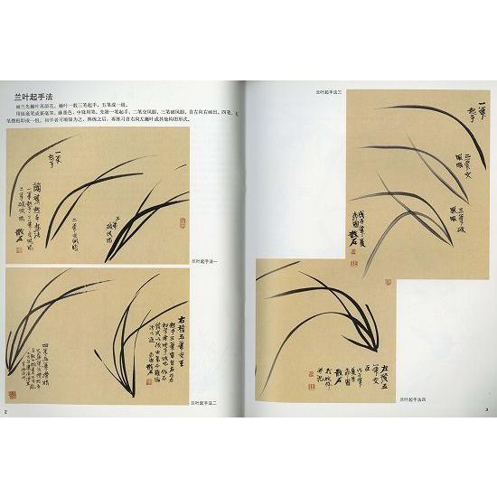 水墨画 / 水墨画集 中国画集 墨彩画 絵手紙 日本画 [ランの描き方と