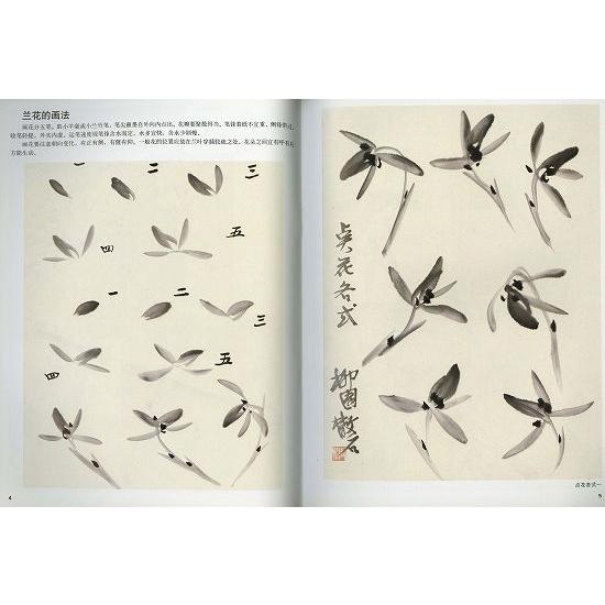 水墨画 / 水墨画集 中国画集 墨彩画 絵手紙 日本画 [ランの描き方と