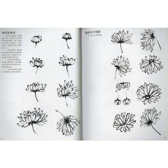 水墨画 / 水墨画集 中国画集 墨彩画 絵手紙 日本画 [菊花の描き
