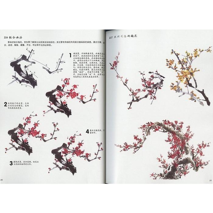 日本画集 墨彩画集 俳画、参考本 [花鳥魚虫] : 黄河文化店 - 通販