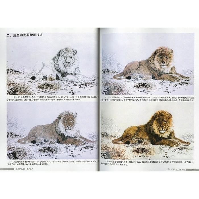 水墨画 / 水墨画集 中国画集 墨彩画 絵手紙 日本画 参考本[名画国画