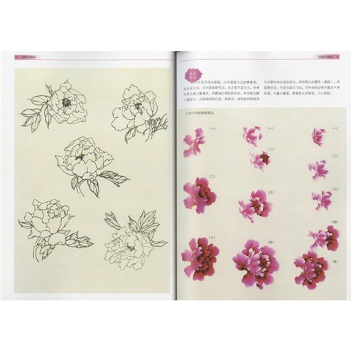 水墨画 / 水墨画集 中国画集 墨彩画 絵手紙 日本画 [写意牡丹画法