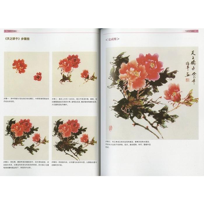 水墨画 / 水墨画集 中国画集 墨彩画 絵手紙 日本画 [写意牡丹画法