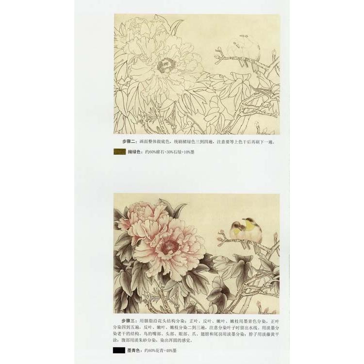 水墨画 / 水墨画集 中国画集 墨彩画 絵手紙 日本画 [工筆牡丹] : 黄河