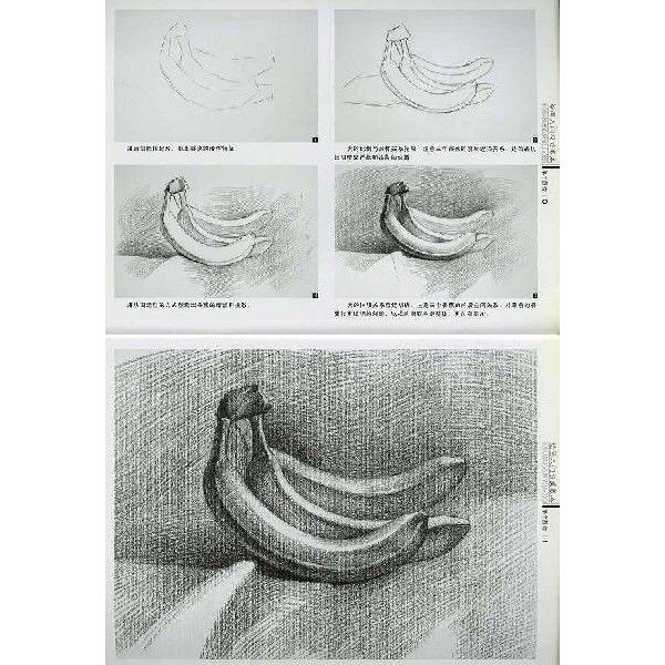 水墨画 / 水墨画集 中国画集 墨彩画 絵手紙 日本画 中国美術書 [静物画