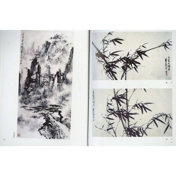水墨画 / 水墨画集 中国画集 墨彩画 絵手紙 日本画 薫寿平] : 黄河文化