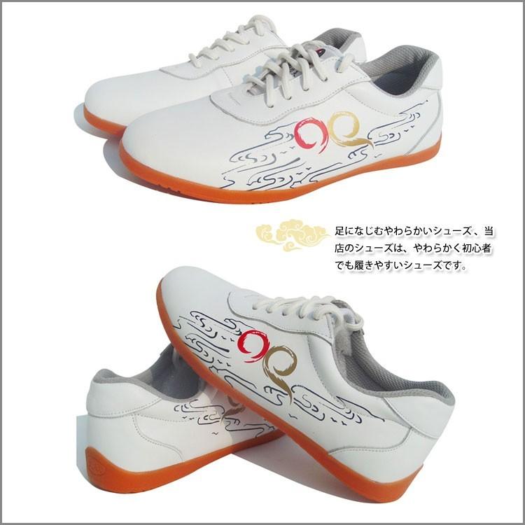 香港みやげ カンフーシューズプレミアム 香港みやげ カンフーシューズ