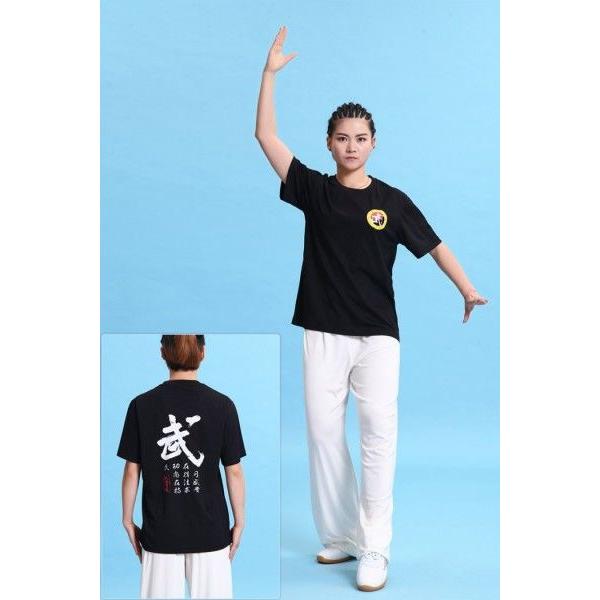 660円 人気提案 太極拳 カッコイイ中国武術デザインｔシャツ 練習には武術らしい動きやすいtシャツが一番 武術tシャツ