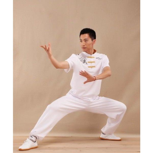 うのにもお得な 太極拳 カッコイイ中国武術デザインｔシャツ 練習には武術らしい動きやすいtシャツが一番 武術刺繍tシャツ Wantannas Go Id