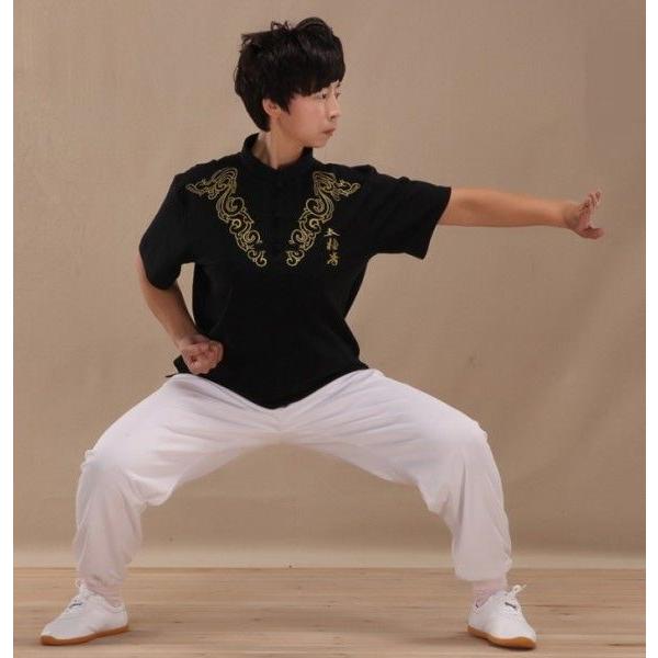 太極拳 カッコイイ中国武術デザインｔシャツ 練習には武術らしい動きやすいtシャツが一番 武術大極拳tシャツ Tt 021 黄河文化店 通販 Yahoo ショッピング