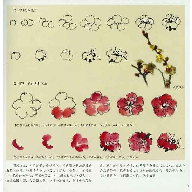 水墨画 / 水墨画集 中国画集 墨彩画 絵手紙 日本画 [梅花 水墨画 / 水墨画集 中国画集 墨彩画 絵手紙 日本画 [梅花