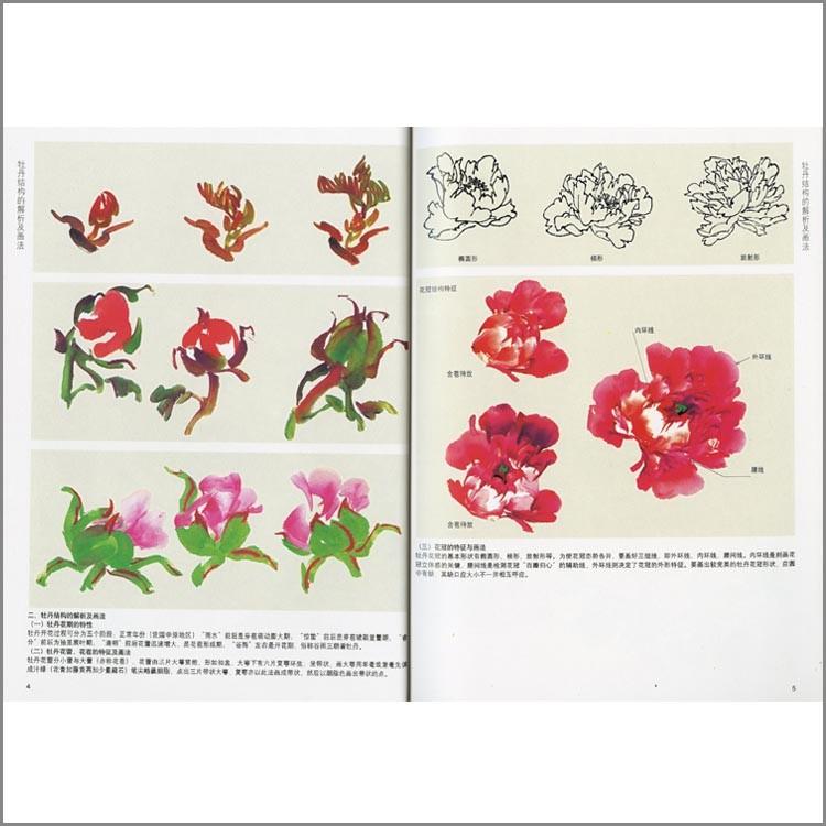水墨画 水墨画集 中国画集 墨彩画 絵手紙 日本画 中国画教程 牡丹 Zjm 0010 黄河文化店 通販 Yahoo ショッピング