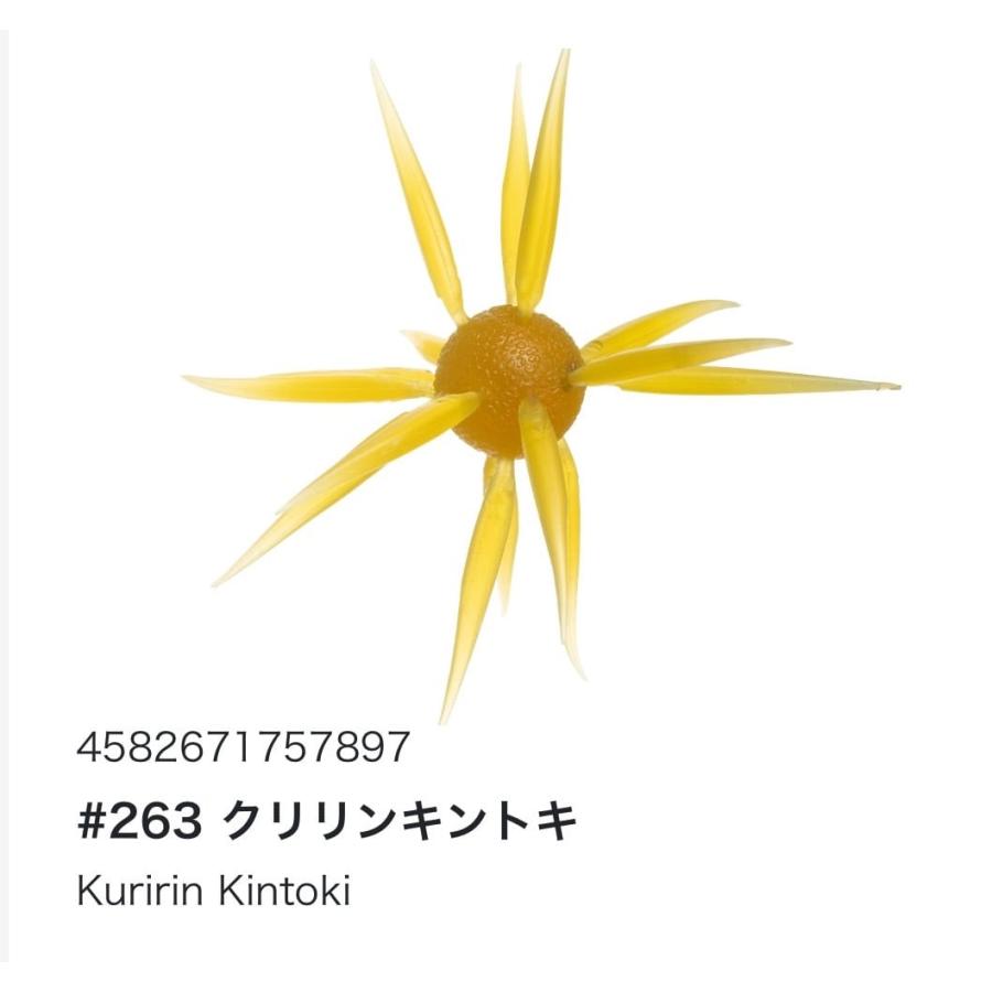 HIDEUP（ハイドアップ） COIKE FISH L ELASTOMER コイケフィッシュ