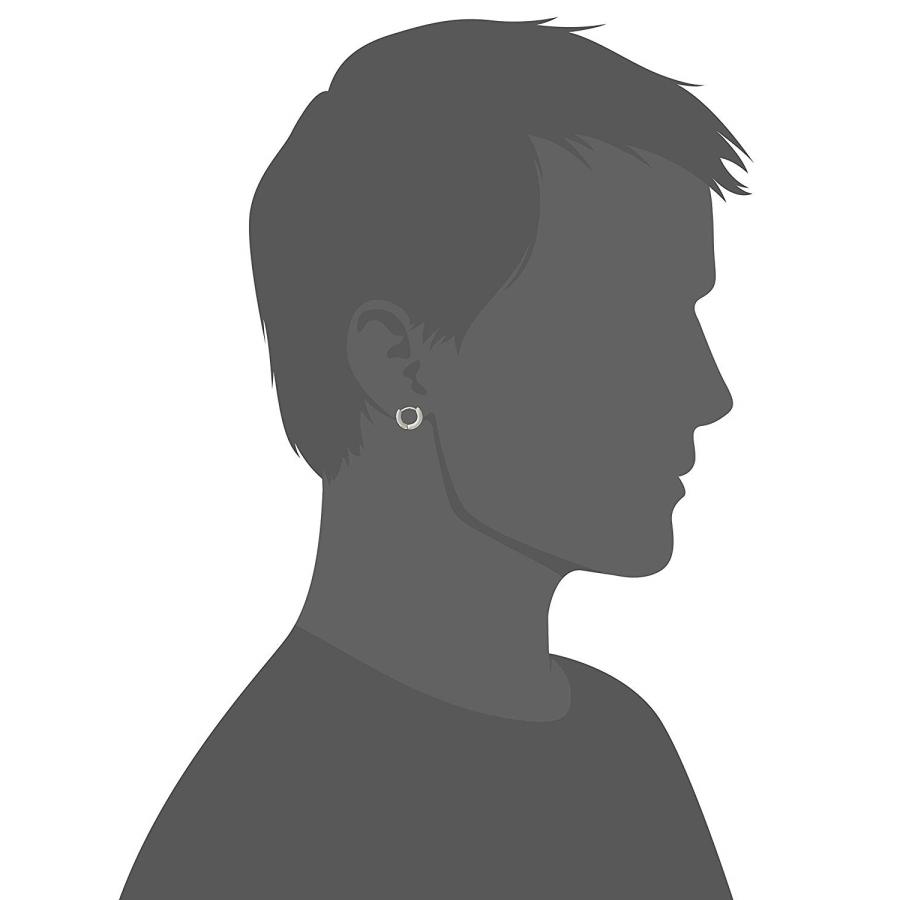 LION HEART ライオンハート 2点セット 両耳用 フープ ピアス