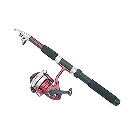 ー品販売 プレミアム接続290 Fishp Trailworthy釣りロッドとリール好評販売中 ベイト