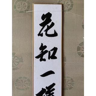 茶道具 表千家14代而妙斎宗匠筆 短冊 花知一様春 直筆 春 茶会 寄付 