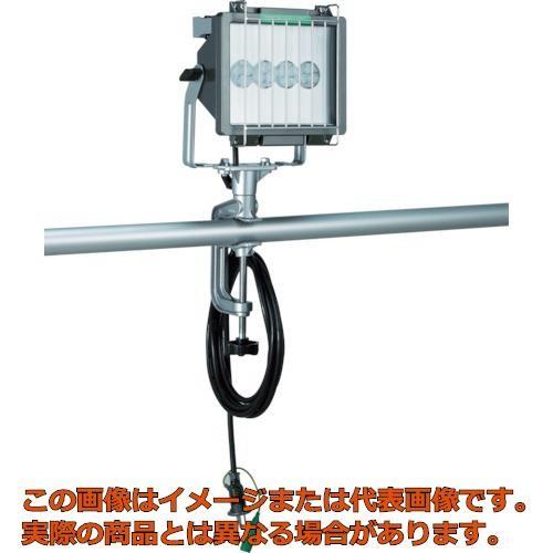 ハタヤ　３０Ｗ　ＬＥＤ投光器　１００Ｖ　３０Ｗ　１０ｍ電線付