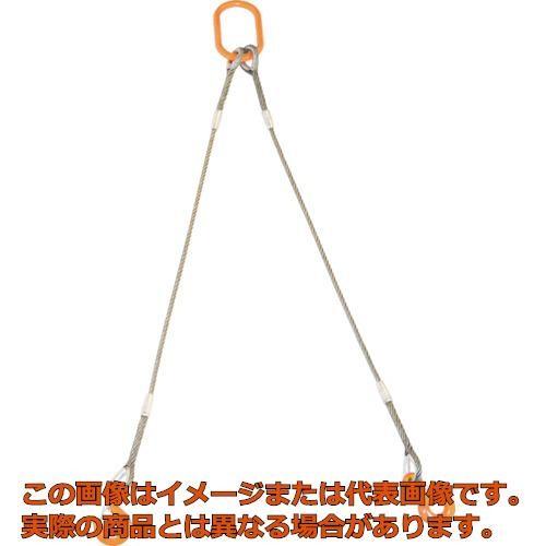 ＴＲＵＳＣＯ　２本吊り玉掛けワイヤロープスリング　Ｗスリング　フック付き　９ｍｍＸ１ｍ