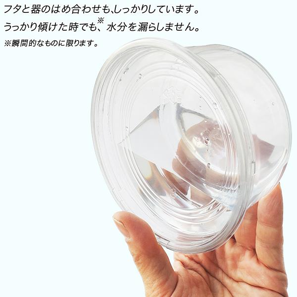 テイクアウト 容器 300個 蓋つき 透明 フードパック サラダ テイクアウト 容器 300個 蓋つき 透明 フードパック サラダ