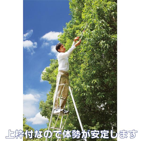 長谷川工業 上枠付三脚脚立 グリーンステップ (8尺) GSU-240a(一部地区