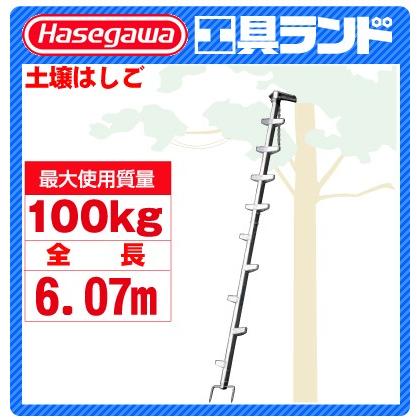 長谷川工業 枝打はしご EH-60(一部地区配送制限あり製品) ハセガワ 
