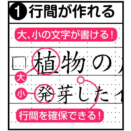 ナカバヤシ ロジカル・エアーノートA罫/A4/40枚 (1冊) 品番：NO-A409A｜kouguland｜03