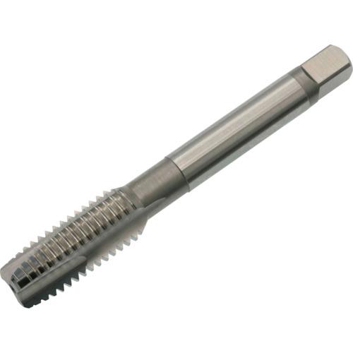 osgタップヤマワタップ各種40本セット osgタップヤマワタップ各種40本