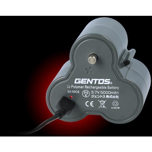 GENTOS（ジェントス） ランタン用専用充電池 EX-50CB (1個) EX-50CB