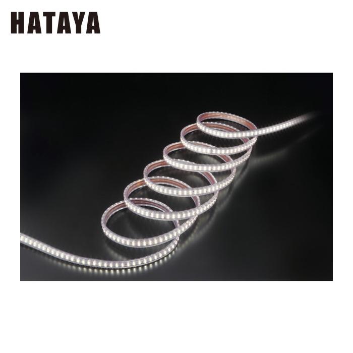 HATAYA（ハタヤ） LTP-10 LEDテープライト片面発光タイプ(10m単体) (1