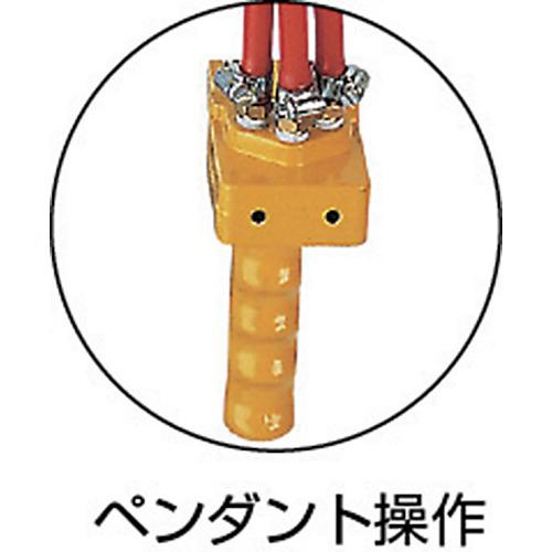 ENDO エアーホイスト AT125K 125kg 3m (1台) 品番：AT125K ts3209997工具ランドヤフーショップ