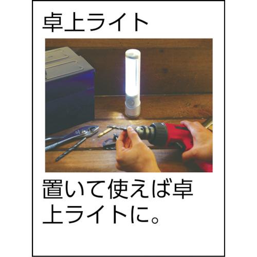 ライテックス 懐中電灯付LEDセンサースリム (1台) 品番：ASL-030｜kouguland｜04