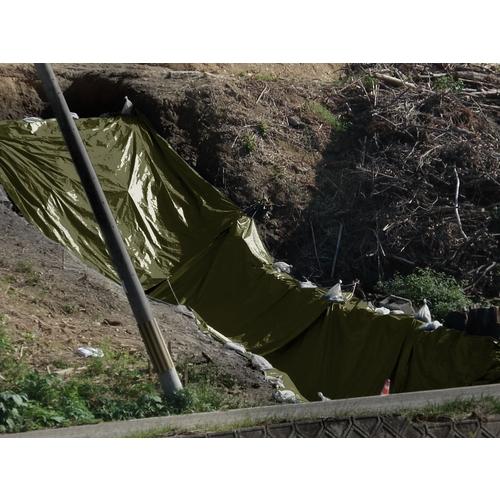 ユタカメイク #3000 ODグリーンシート 10mx10m (1枚) OGS-18 : 工具