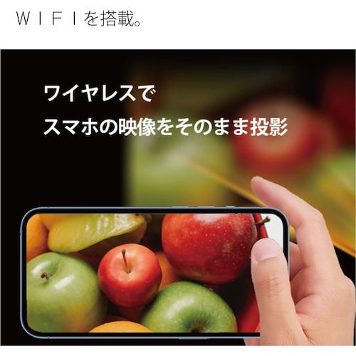 AREA LEDプロジェクターUSBファイル読み出し対応型 (1台) MS-PJHD04 WH_3