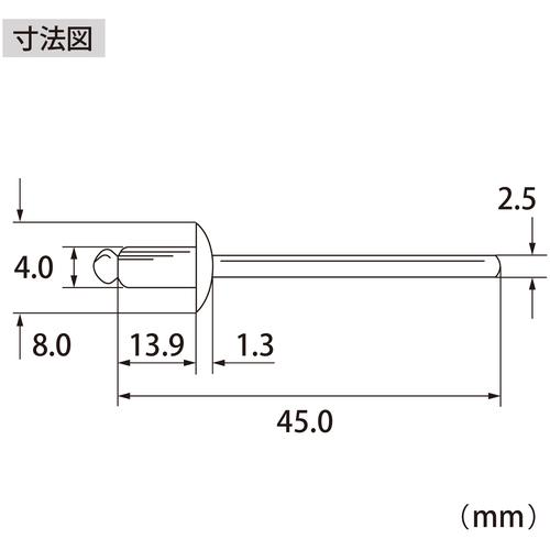 エビ ロブテックス NSS56A ブラインドリベット(ステンレス/スティール製) 5-6(1000本入) 箱入 (1箱)_5