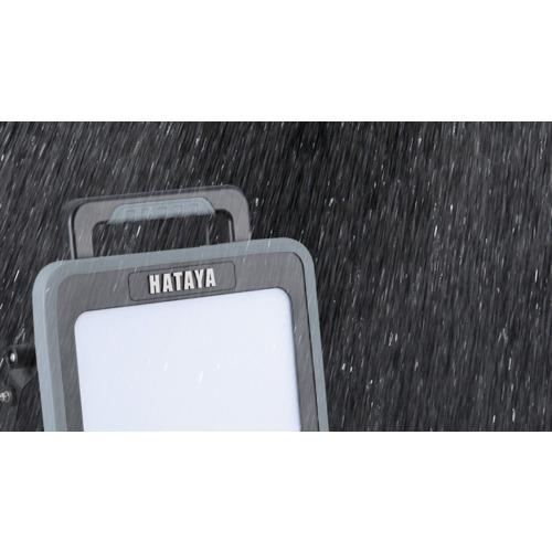 HATAYA 50W LEDライト LWA-50KN HATAYA（ハタヤ） LWA50KN LEDライト 50W LEDケイ・ライト脱着式