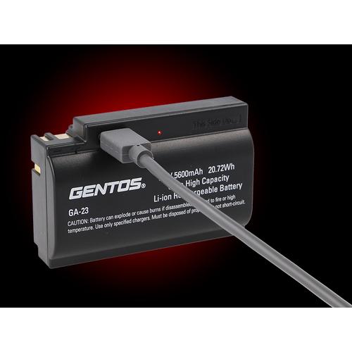 ジェントス GENTOS Gシリーズ ハイブリッド式LEDヘッドライト 203RG (1