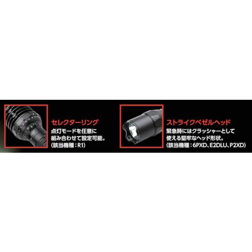 SUREFIRE（シュアファイア） LEDライト G2X PRО フォリッジグリーン (1