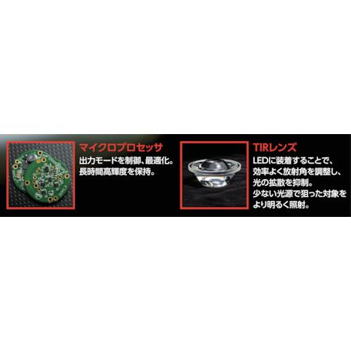 SUREFIRE（シュアファイア） LEDライト G2X PRО フォリッジグリーン (1