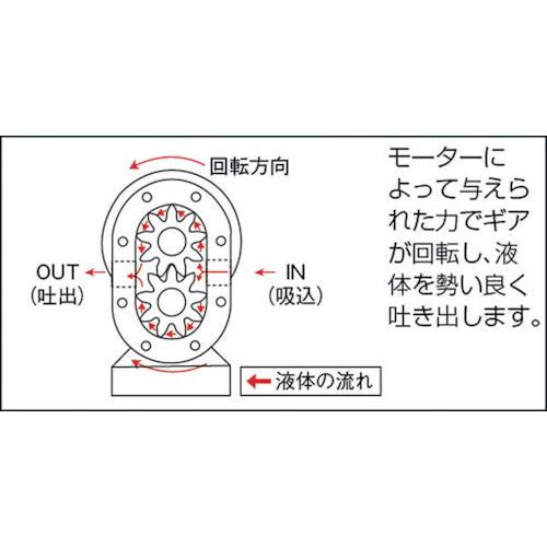 亀嶋鐵工所 NK KA-06 ギヤーポンプ 普通単車型 モーター無し (1台)_1