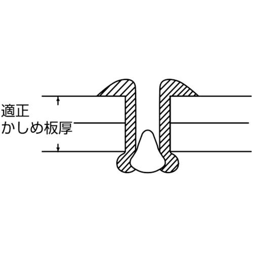 クリアランス廉価 エビ ブラインドリベット(ステンレス/ステンレス製) 3-2(1000本入) 箱入 (1箱) 品番：NST32