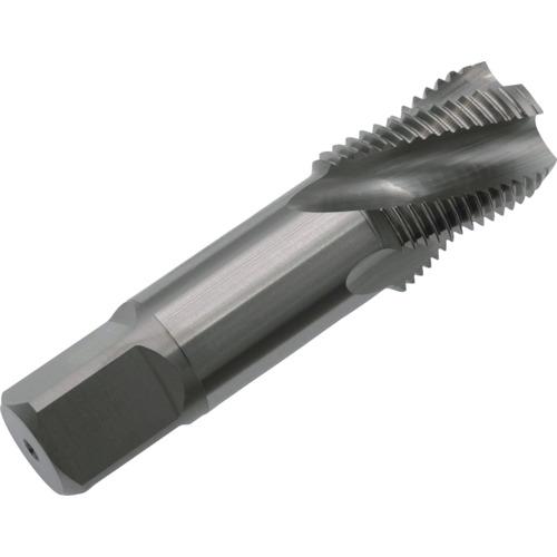 YAMAWA - ヤマワ 弥満和 SP-S-PT-1-1/4-11 管用テーパねじ用渦巻き飲み口短ねじ形 SP-S-PT 1-1/4-11 (1本)