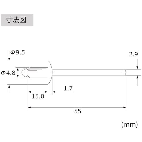 大量注文受付 エビ ブラインドリベット(丸頭) ステンレス/スティール製 6-6(500本入) (1箱) 品番：LSS66